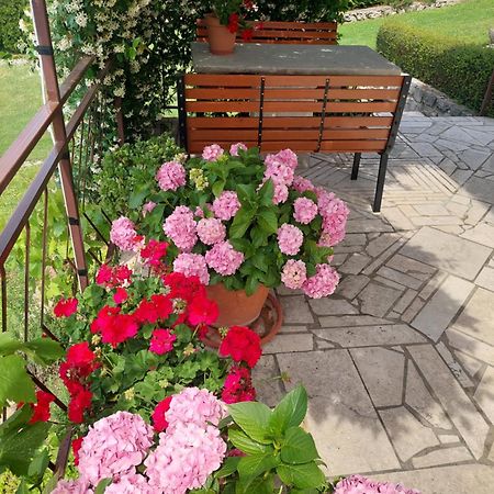 Apartment Fabris Roč Екстериор снимка