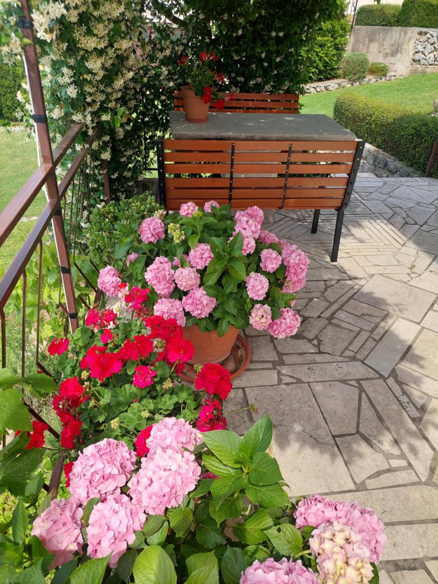 Apartment Fabris Roč Екстериор снимка
