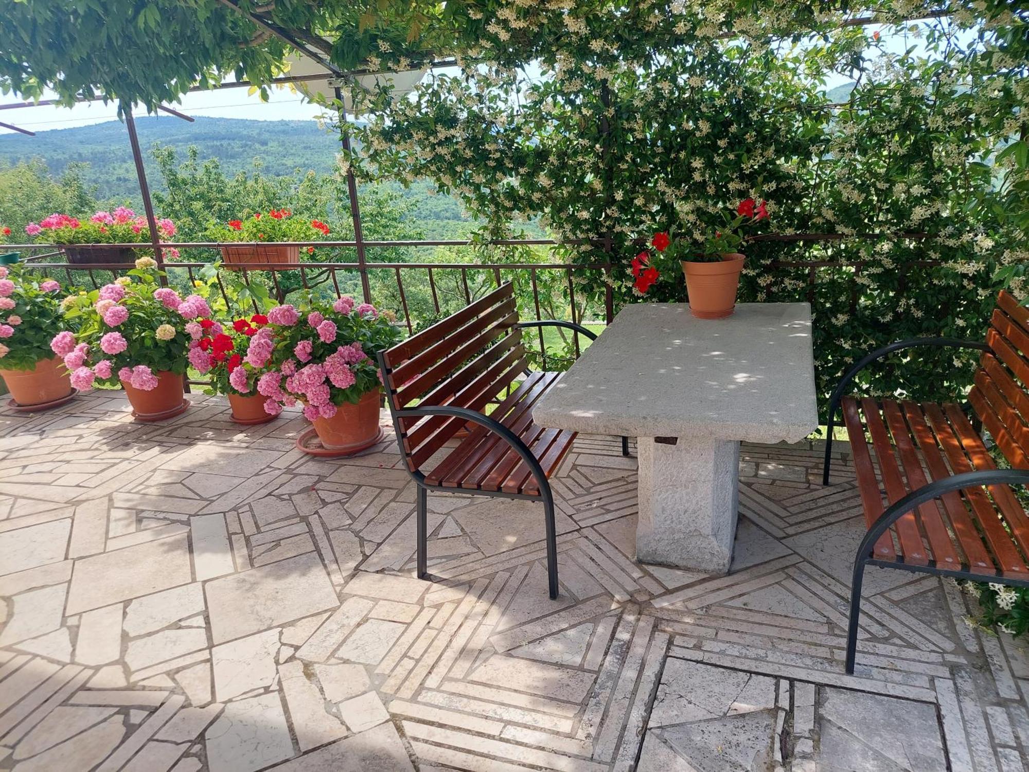 Apartment Fabris Roč Екстериор снимка