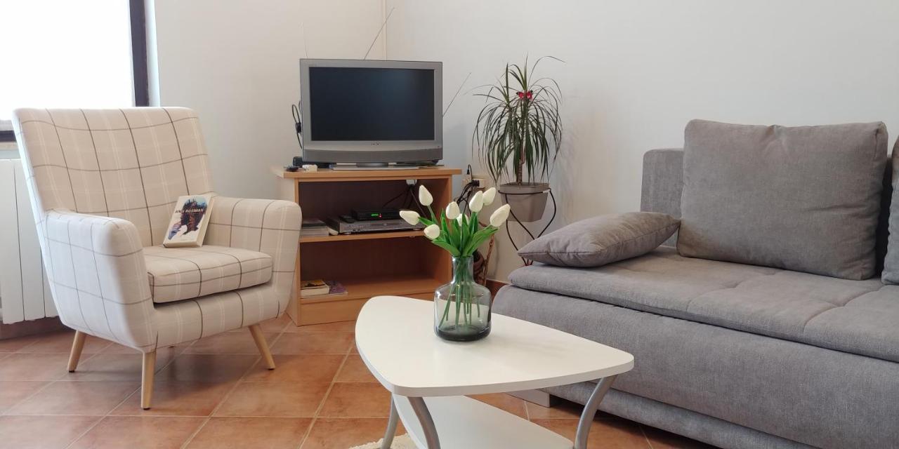 Apartment Fabris Roč Екстериор снимка